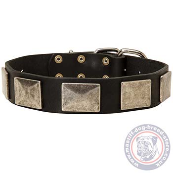 Large Dog Collars for Mastiff Fashion