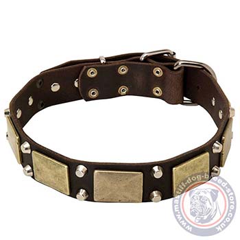 Designer Dog Collar for South African Boerboel