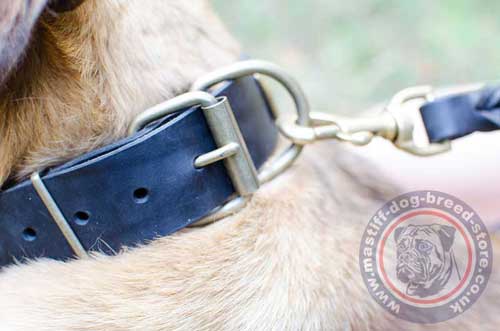 Leather Dog Collar for Big Dogs