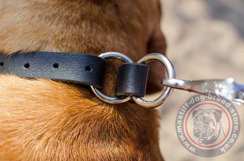 Leather Choke Dog Collar with Buckle