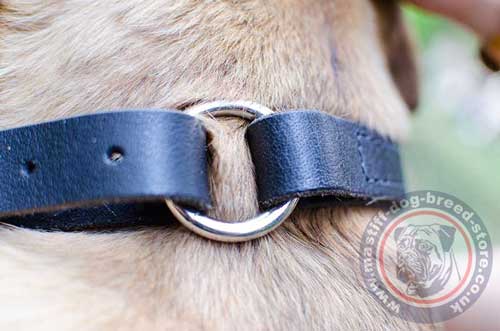 Leather Dog Choke Collar