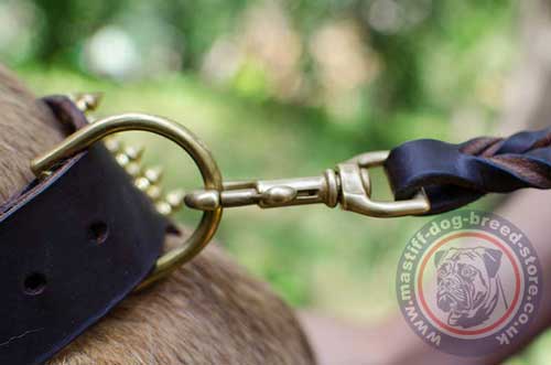 Leather Dog Collar with Rust-Resistant Brass Hardware