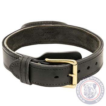 Neapolitan Mastiff Training Dog Collar