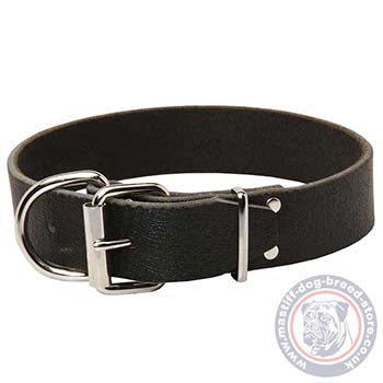 Easy Dog Collar with Buckle