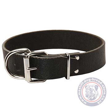 Wide Dog Collar for Neapolitan Mastiff