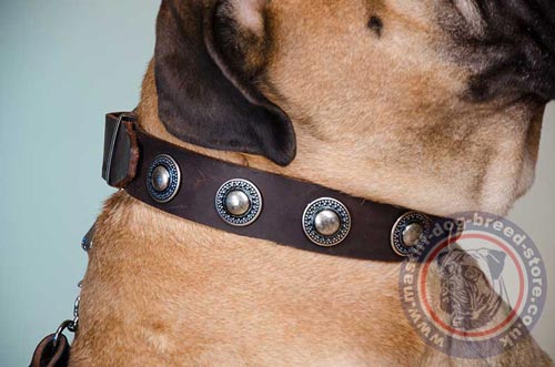 Handmade Dog Collar for Bullmastiff