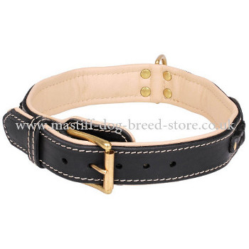 Luxury Dog Collars for Large Dogs