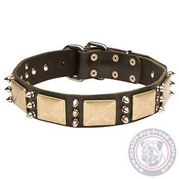 Extra Large Dog Collars