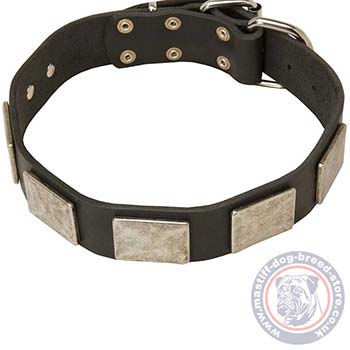 Buy Dog Collar