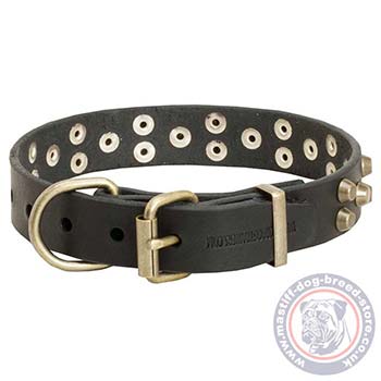 Dog Collar Jewelry