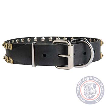 Mastiff Dog Collar with Buckle