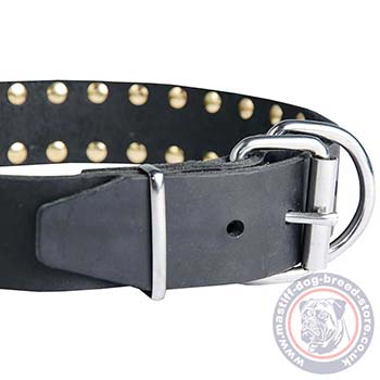 Spiked Leather Dog Collar for Mastiff Dogs
