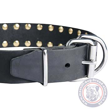 Leather Spiked Dog Collar