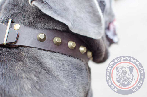 Soft Leather Dog Collar