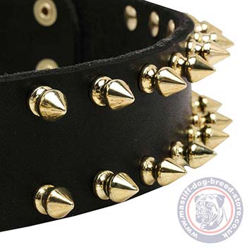 Spiked Dog Collar