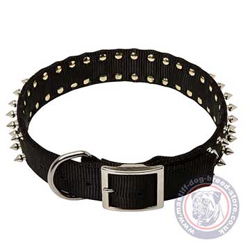 Cool Dog Collar for Mastiff