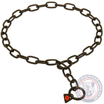 Mastiff Chain Collar