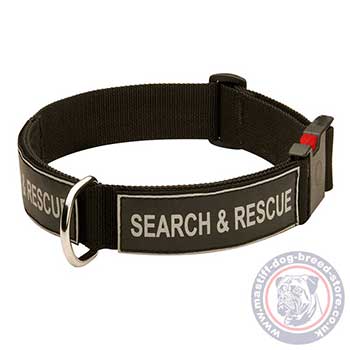 Buy Mastiff Collar UK