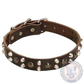 Exclusive Dog Collar