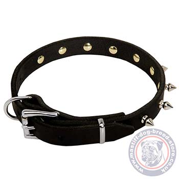 Mastiff Dog Collar