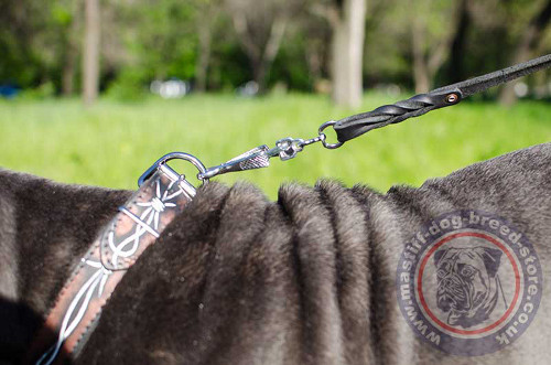 Handmade Leather Dog Collar