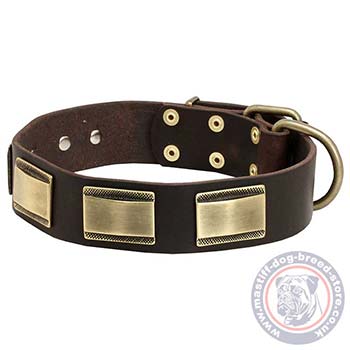 Mastiff Collars for Bull Mastiff Breeds