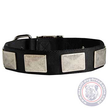 Nylon Dog Collars for Mastiff Breed