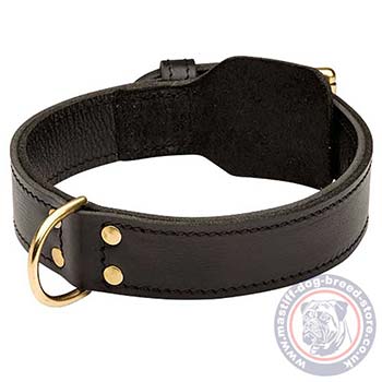 extra large dog collar mastiff size