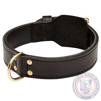 Leather Dog Collars for Mastiff Dog