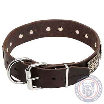 Handmade Dog Collar with Buckle