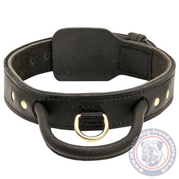 Big Dog Collars with Handle