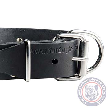 Classic Leather Dog Collar with Buckle