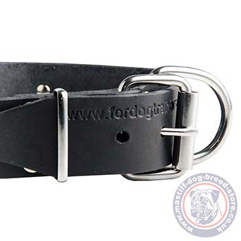 Dog Collar Personalized