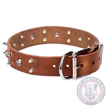 Mastiff Dog Collar with Skulls