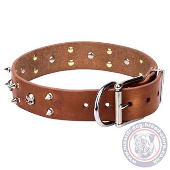 Mastiff Dog Collar with Skulls