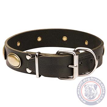 Italian Mastiff Dog Leather Collar