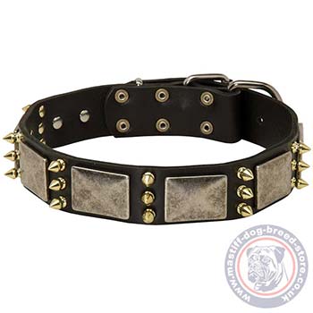 Mastiff Dog Collars for Sale in UK