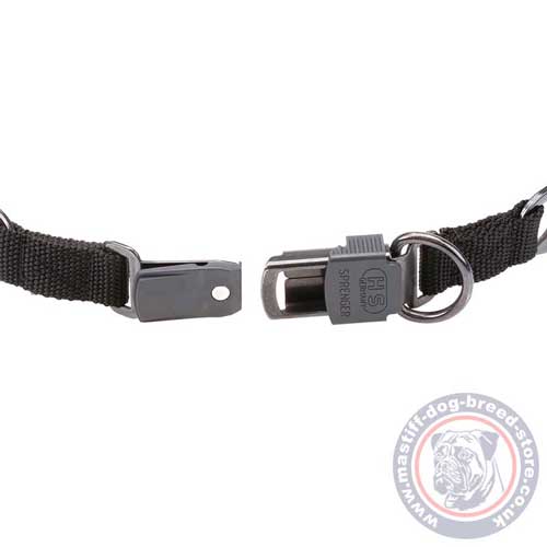 Mastiff Dog Pinch Collar with Quick Release