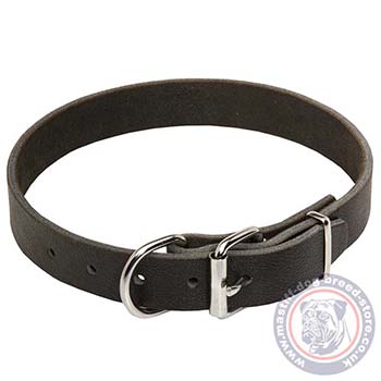 Mastiff Leather Dog Collars for Large Dogs