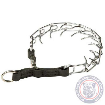 Mastiff Training Pinch Collar