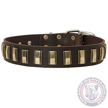 Big Dog Collars UK