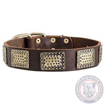 War-Style Leather Collar for Mastiff