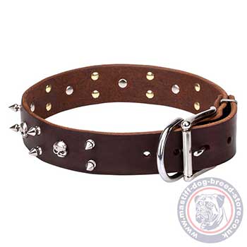 Brown Leather Dog Collar with Skulls