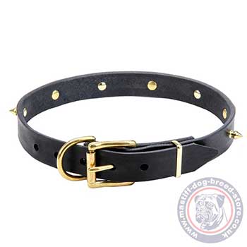 Buy Mastiff Puppy Collar with Spikes