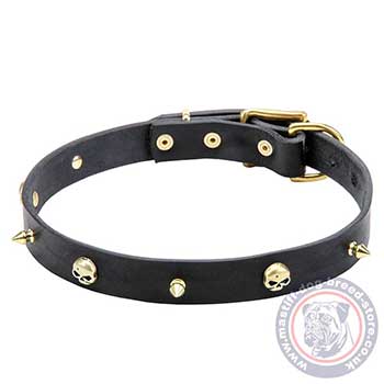 Mastiff Puppy Collar with Spikes and Skulls