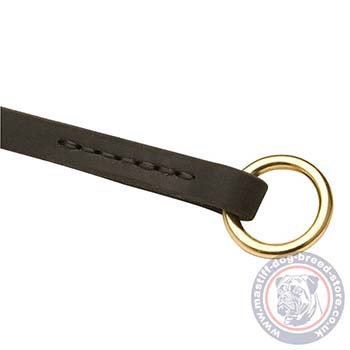 Narrow Dog Collar for Active Dog Training