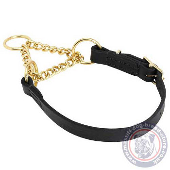 Mastiff Martingale Dog Collars with Chain Loop