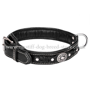 Strong Dog Collar for Large Dogs