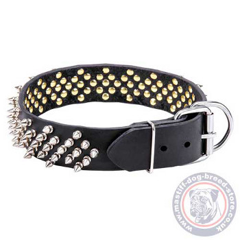 Spiked Dog Collar for Mastiff