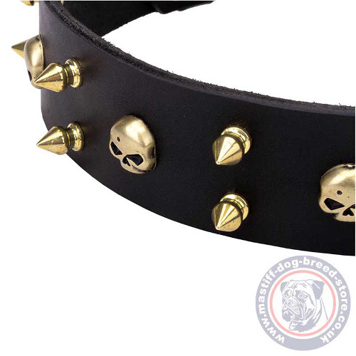 Designer Leather Dog Collar